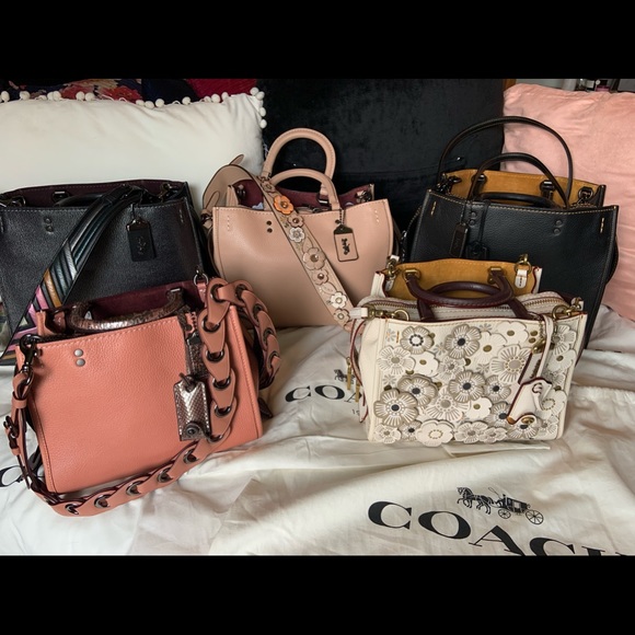 Meet your Posher, Sasha - Picture 4 of 4